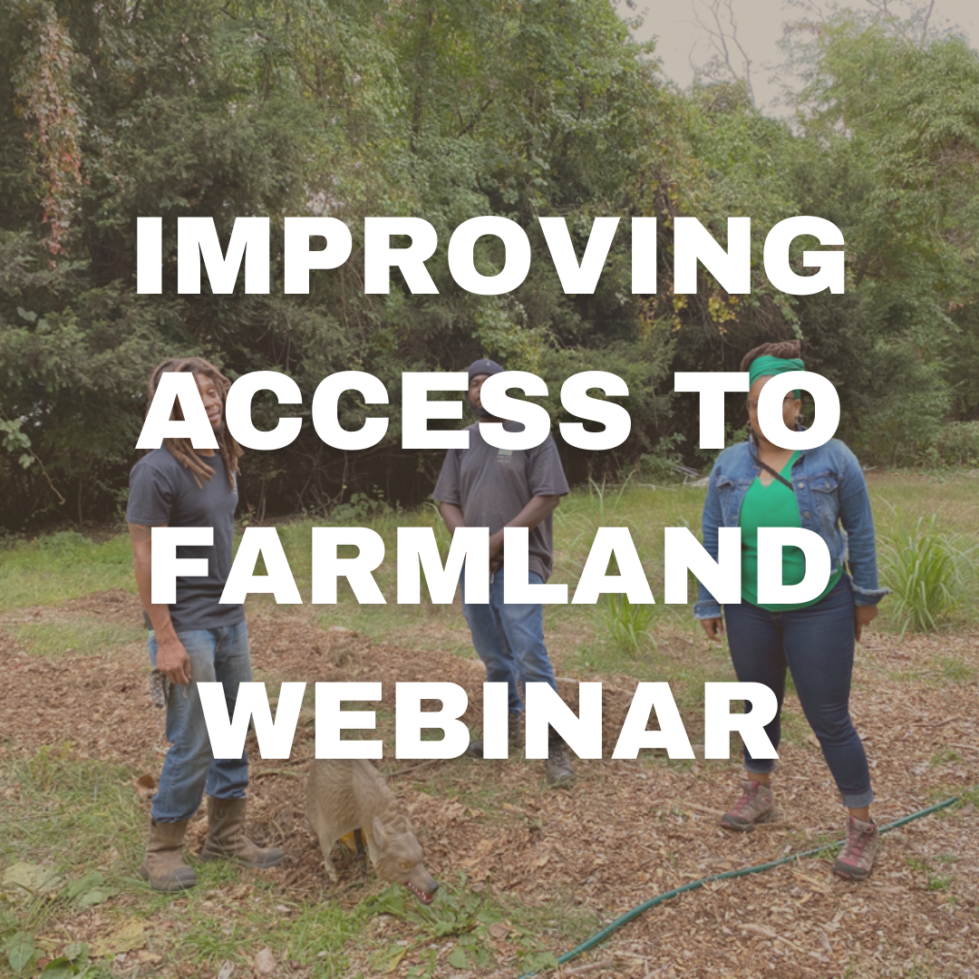 Three people in a field with the text Improving access to farmland webinar on the image.